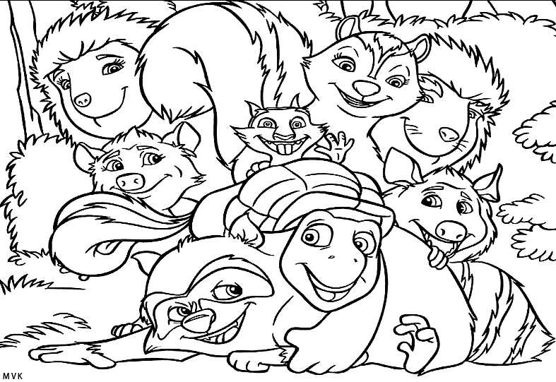 open season001